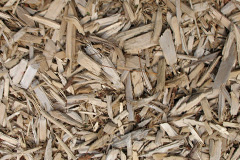 biomass boilers Trillacott